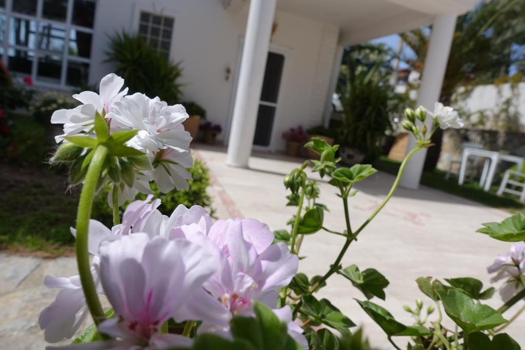 Limonlu Ev Ardic Hotel Alaçatı Ngoại thất bức ảnh